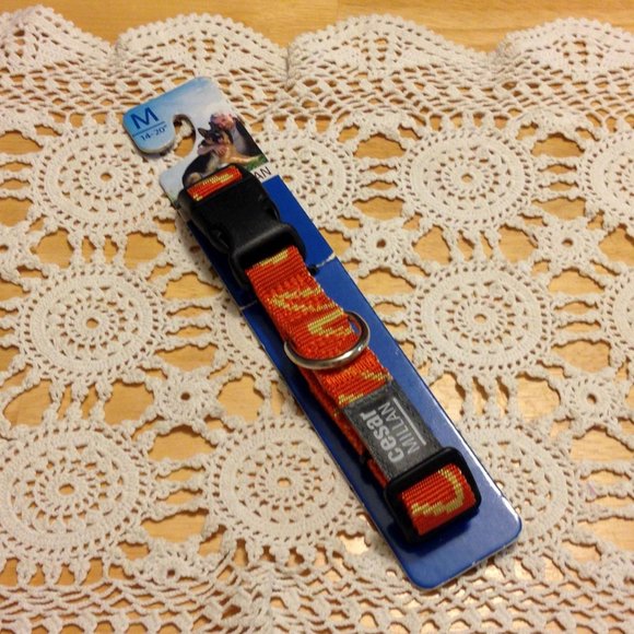 Pet collar, Cesar Milan Dog Collar, orange, 4" to 20" - Picture 1 of 6